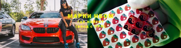 дмт Козловка