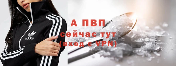 a pvp Кодинск