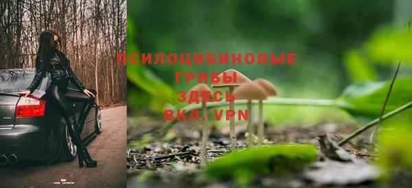 дмт Козловка