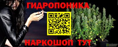 spice Гусиноозёрск