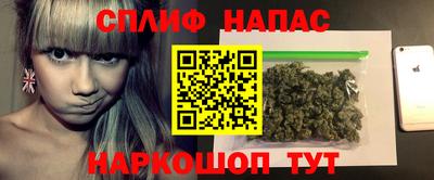 спиды Гусев