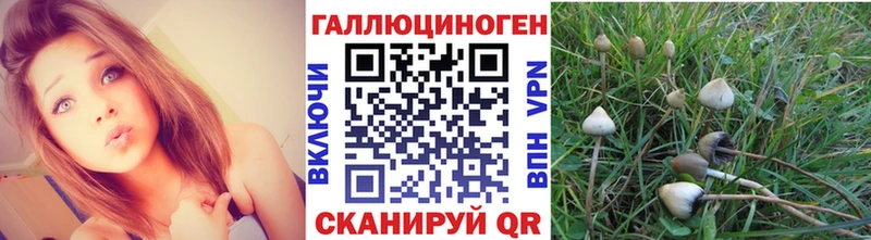 Галлюциногенные грибы мицелий Сызрань