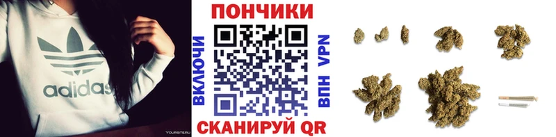 kraken   Сызрань  Бошки Шишки планчик 